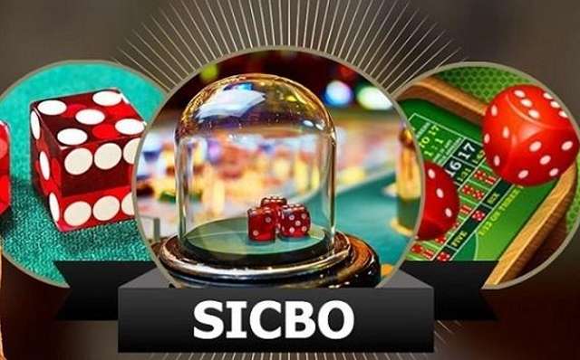 Sicbo online ngày càng thu hút nhiều người chơi Sicbo online ngày càng thu hút nhiều người chơi